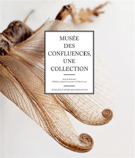 Musée des Confluences - Une collection