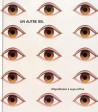 Un autre oeil. D'Apollinaire à aujourd'hui