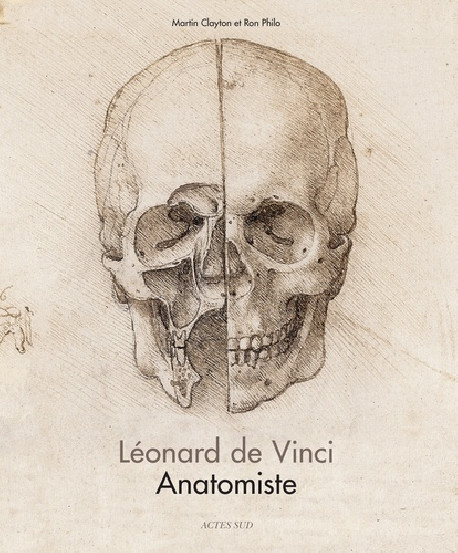 Léonard de Vinci, anatomiste