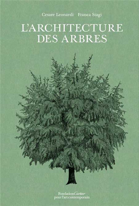 L'architecture des arbres