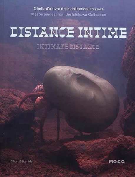 Distance intime, les chefs d'oeuvre de la collection Ishikawa - Mo.Co