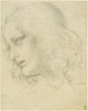 Léonard de Vinci - Le génie en dessin