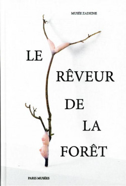 Le rêveur de la forêt