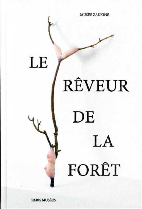 Le rêveur de la forêt