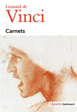 Carnets de Léonard de Vinci
