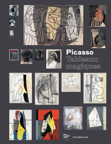Picasso, tableaux magiques