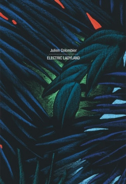 Julien Colombier - Electric Ladyland