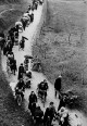 1940 : Les Parisiens dans l'exode