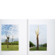 Trees - Giuseppe Penone