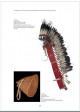 La conquête de l'Ouest - Collectes amérindiennes de la Smithsonian Institution conservées au Musée du quai Branly