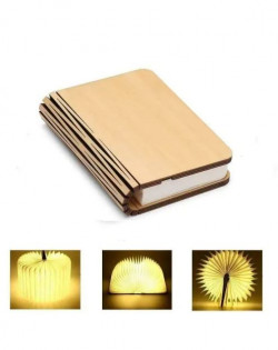 Luminous Book - Small Size