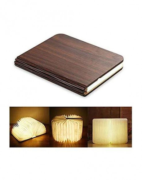 Luminous Book - Medium Size