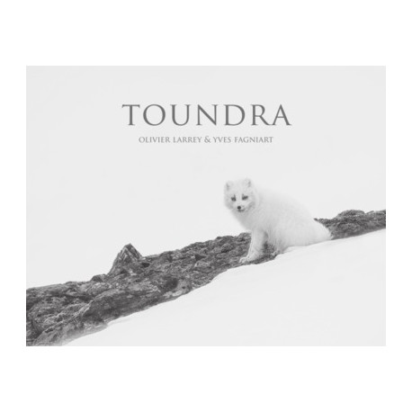 Toundra - Olivier Larrey et Yves Fagniart