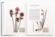 Florae, le temps des fleurs