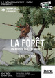 La forêt. Un Moyen Âge enchanté ?