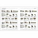 Homo faber - 2 million years of carved stone history