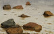 Sur le motif - Peindre en plein air, 1780-1870