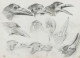 Delacroix et la nature