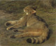 Rosa Bonheur (1822-1899)