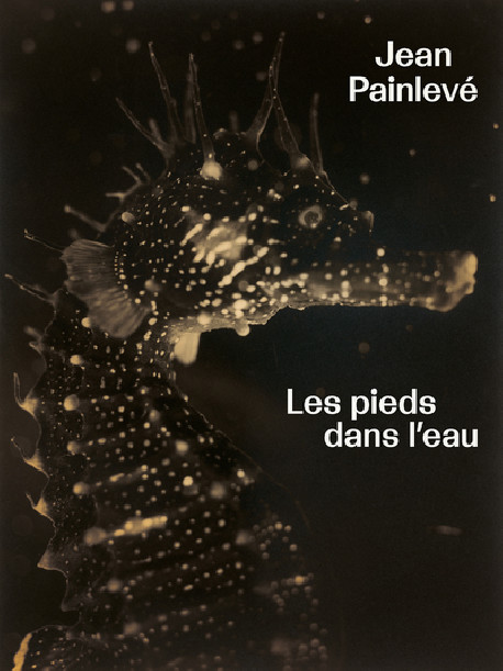 Jean Painlevé - Les pieds dans l'eau