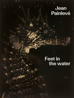 Jean Painlevé - Feet in the Water