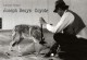 Joseph Beuys - Coyote