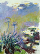 Monet / Mitchell - Les couleurs de la lumière