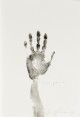 Giuseppe Penone  - Dessins