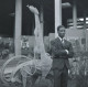 Senghor et les arts - Réinventer l'universel