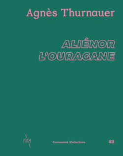 Agnès Thurnauer. Aliénor l'Ouragane