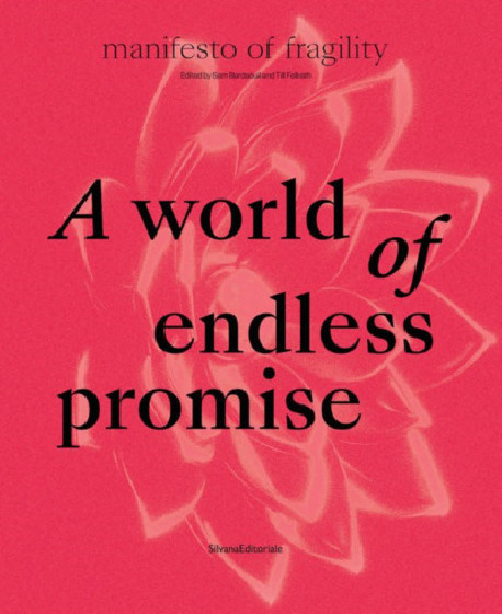 A world of endless promise - Manifesto of Fragility