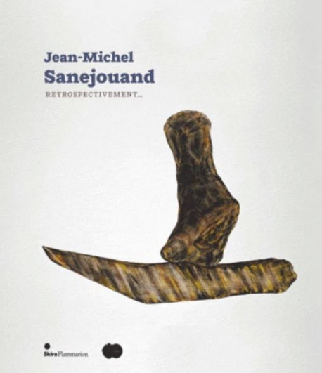 Jean-Michel Sanejouand - Rétrospectivement...