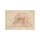 From Scribble to Cartoon - Drawings from Bruegel to Rubens