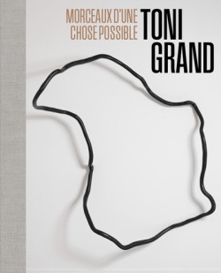 Toni Grand, morceaux d'une chose possible