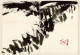 T'ang Haywen - Un peintre chinois à Paris 1927-1991