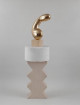 Brancusi - Album de l'exposition