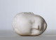 Brancusi - Ehibition Album