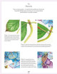Aquarelle d'après nature - Peindre plantes et fleurs au fil des saisons