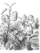 Alice au Pays des Merveilles, illustré par John Tenniel