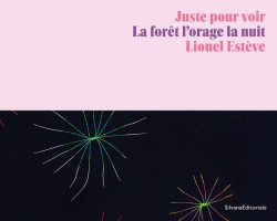 Lionel Estève  - Juste pour voir. La forêt l'orage la nuit