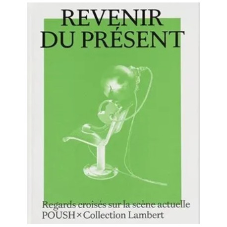 Revenir du présent - Poush à la Collection Lambert