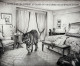Endeavours and masterpieces - Exhibition Catalogue