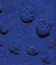 Yves Klein intime