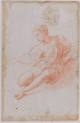 Expérience Raphaël - Palais des Beaux-arts de Lille