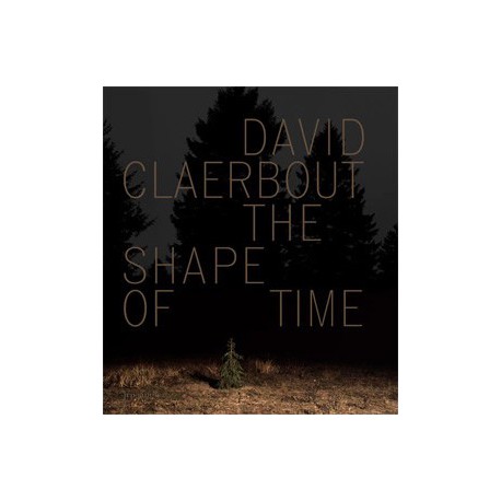 David Claerbout - Shape of Time