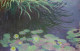 La collection Nahmad - Giverny