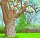 David Hockney 25 - Fondation Louis Vuitton