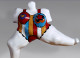 Niki de Saint Phalle - Le bestiaire magique