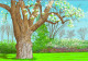 David Hockney 25 - Hors série Beaux-arts exposition