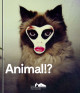 Animal !?